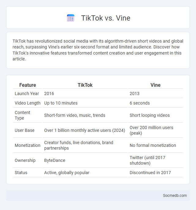 TikTok vs. Vine - What is The Difference?