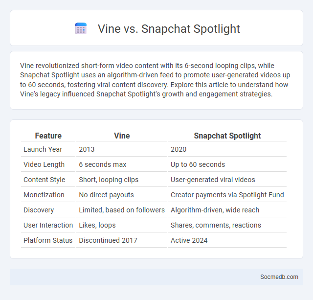 Vine vs. Snapchat Spotlight - What is The Difference?