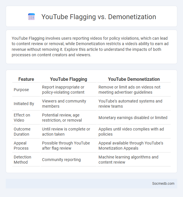 YouTube Flagging vs. Demonetization - What is The Difference?