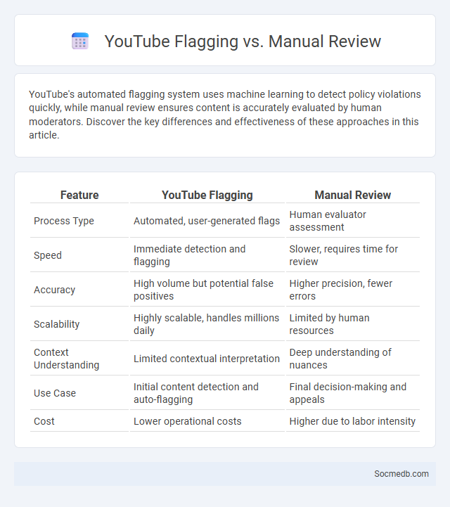 YouTube Flagging vs. Manual Review - What is The Difference?